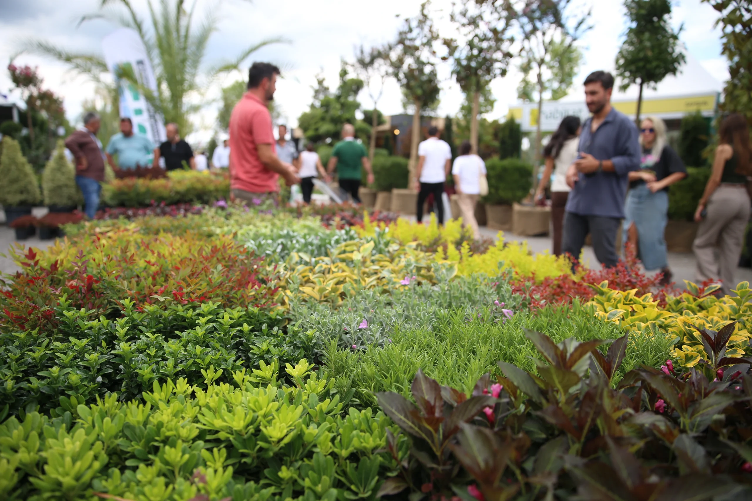 Sakarya’nın Sapanca ilçesinde düzenlenen uluslararası süs bitkileri ve peyzaj fuarı,