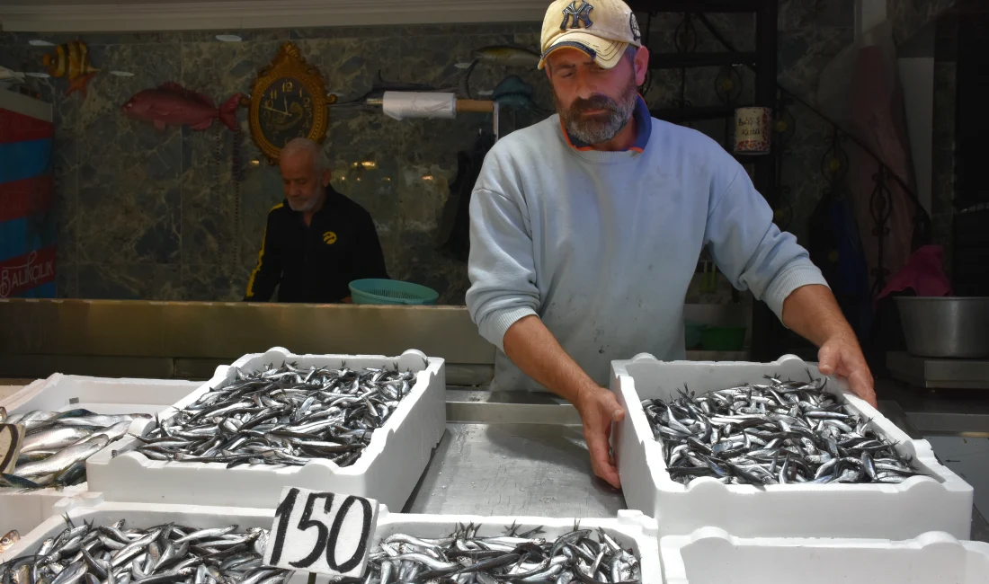 Trabzon’da balıkçı tezgahlarında hamsi ve istavrit 150 liradan, tirsi 200,