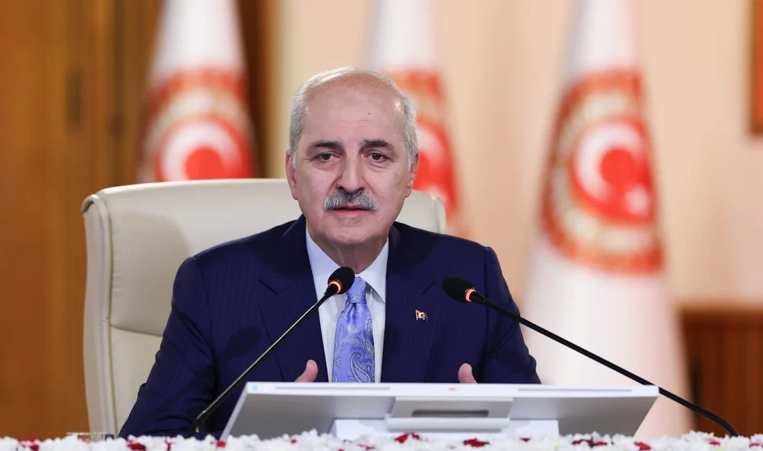 “Demokratikleşme ve hukuk devleti” vurgusu yapan Kurtulmuş, komisyon çalışmalarında güçlü