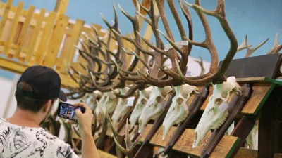 Novi Sad’da kapılarını açan 56. Uluslararası Avcılık ve Balıkçılık Fuarı,