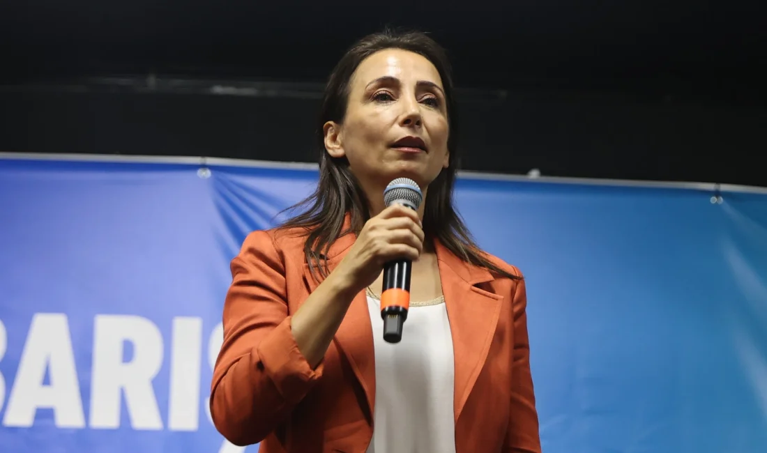 Mardin’de konuşan DEM Parti Eş Genel Başkanı Hatimoğulları, barış sürecine