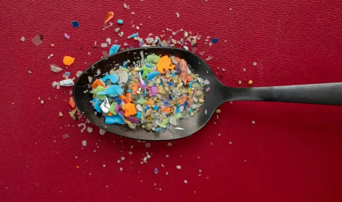 Yeni araştırma, mikroplastiklerin insan kemik dokusuna kadar sızdığını ve büyüme