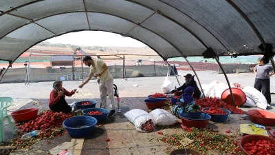 Şanlıurfa’da aile hekimleri, hemşireler ve ebelerden oluşan mobil ekipler, mevsimlik