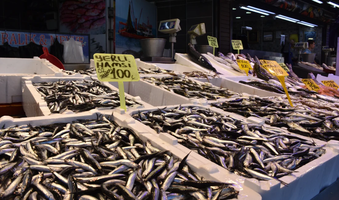 Trabzon’da hamsinin kilosu 100 liradan satışa sunuldu.Balıkçılar, bu sezon hamsinin