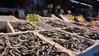 Trabzon’da hamsinin kilosu 100 liradan satışa sunuldu.Balıkçılar, bu sezon hamsinin