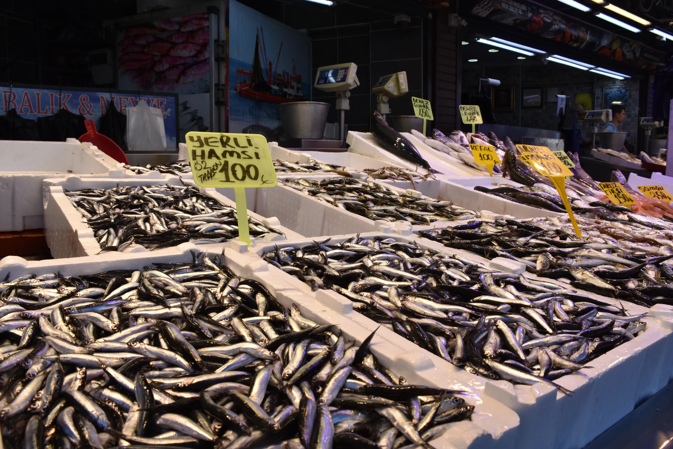 Trabzon’da hamsinin kilosu 100 liradan satışa sunuldu.Balıkçılar, bu sezon hamsinin