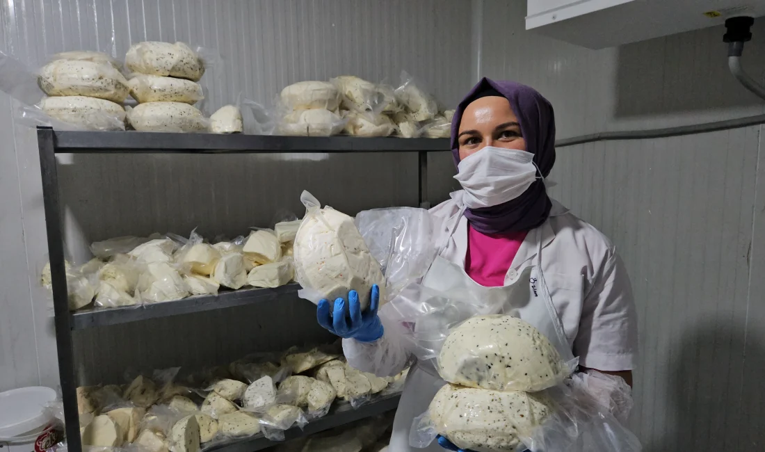 Balıkesir'in Sındırgı ilçesinde kurulan butik mandıra, kadınların üretim gücünü ekonomiye