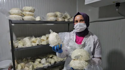 Balıkesir'in Sındırgı ilçesinde kurulan butik mandıra, kadınların üretim gücünü ekonomiye