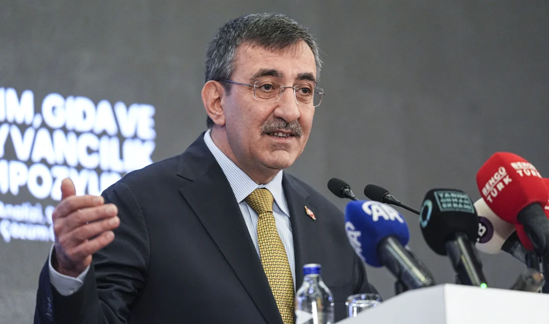 Cumhurbaşkanı Yardımcısı Yılmaz, TBMM’de su krizine karşı yol haritası, enflasyon