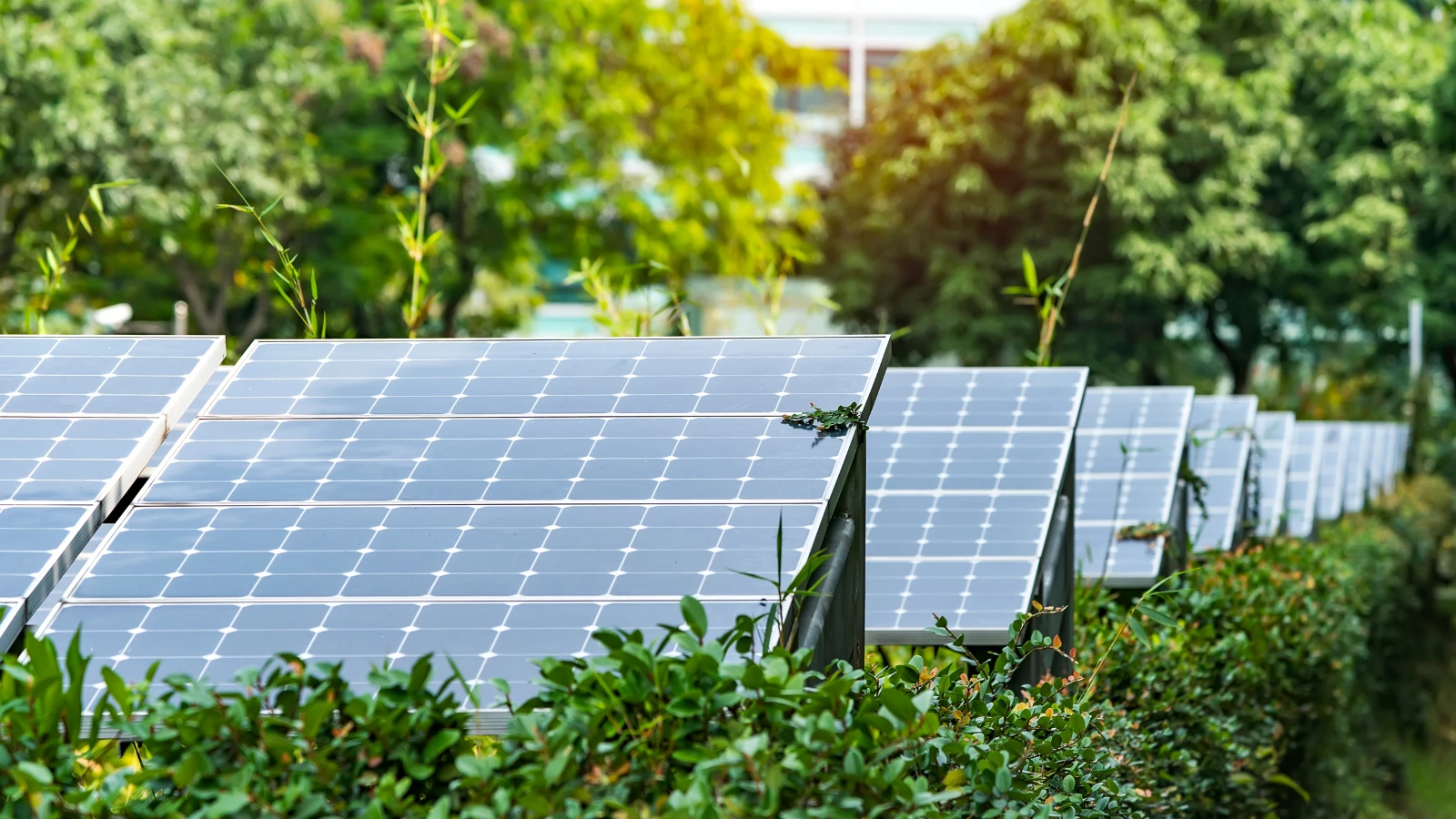 Ember'in analizine göre, güneş enerjisi megavatsaat başına 43 dolarla Türkiye'nin