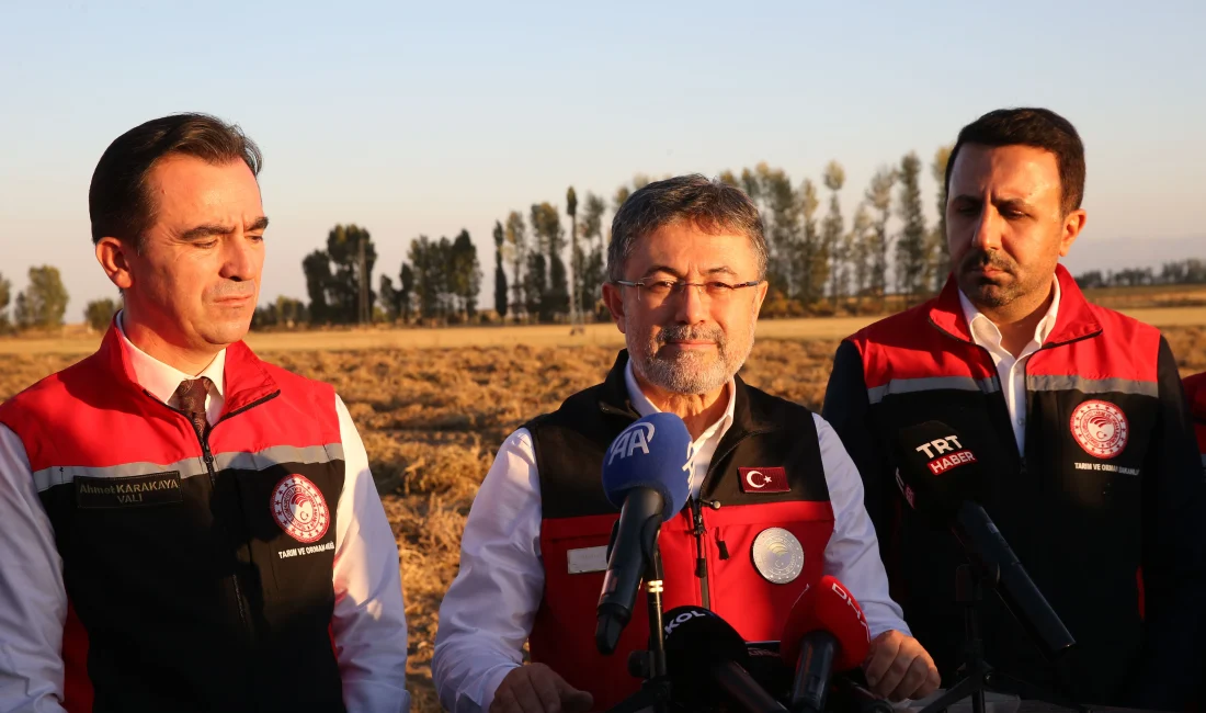 TMO, Kuru Fasulye Alımına Başlıyor: Bakan Yumaklı Bitlis’ten Duyurdu Tarım ve Orman Bakanı İbrahim Yumaklı, Bitlis’te kuru fasulye hasadına