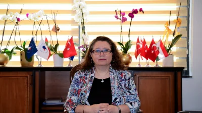 Afet ve kriz dönemlerinde sunulan ruh sağlığı desteği, bireysel iyilik