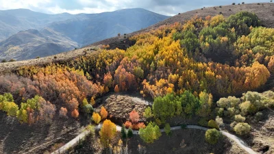 Muş’ta Genç Adımlar Derneği üyeleri, Bağlar bölgesinde sonbaharın büyüleyici atmosferinde
