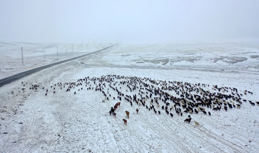 Kars’ta yaz boyunca yaylada kalan göçerler, dönüş yolunda kar yağışıyla