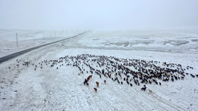 Kars’ta yaz boyunca yaylada kalan göçerler, dönüş yolunda kar yağışıyla