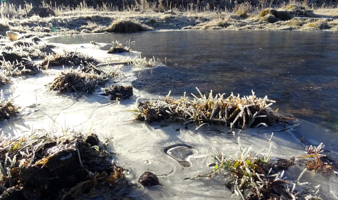 Kars’ın Sarıkamış ilçesinde soğuk hava hayatı etkiliyor. Araç camları buz