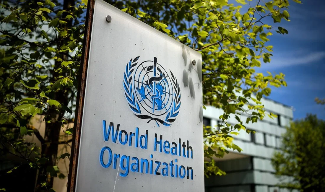 Dünya Sağlık Örgütü, Afrika kıtasında bu yıl koleraya yakalanan 190