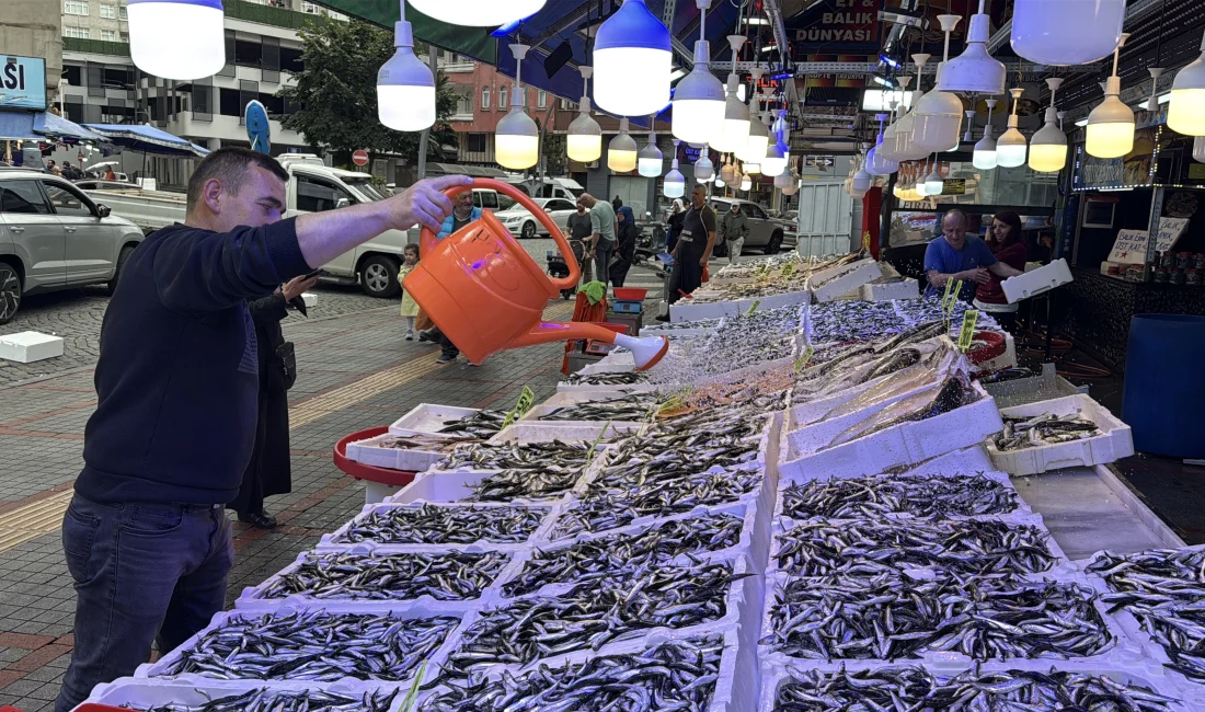 Rize’de bu sezon hamsi hem bol hem uygun fiyatlı. Balıkçılar