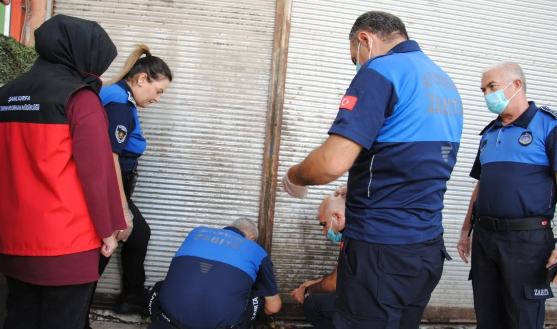 Şanlıurfa'da zabıta ve ilçe tarım ekiplerinin yaptığı denetimlerde tüketime hazır