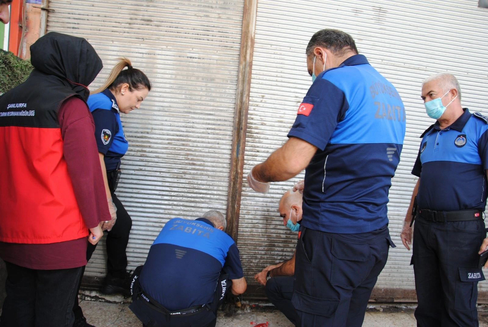 Şanlıurfa'da zabıta ve ilçe tarım ekiplerinin yaptığı denetimlerde tüketime hazır