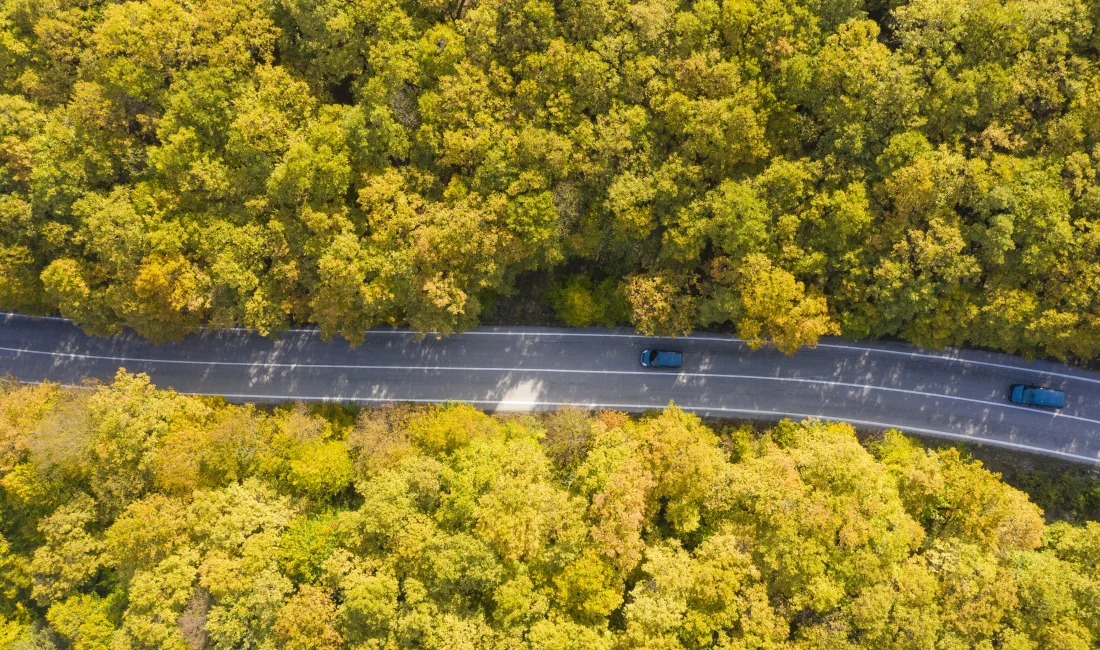 Bolu Ormanları Sonbaharın Büyüleyici Renklerine Büründü Bolu’daki ormanlar sonbaharın sarı ve kahverengi tonlarına bürünerek doğa tutkunlarını