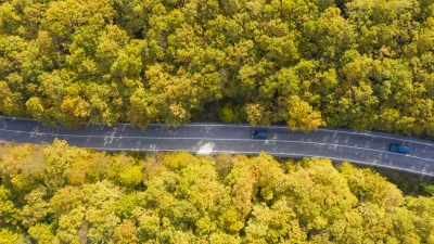 Bolu’daki ormanlar sonbaharın sarı ve kahverengi tonlarına bürünerek doğa tutkunlarını