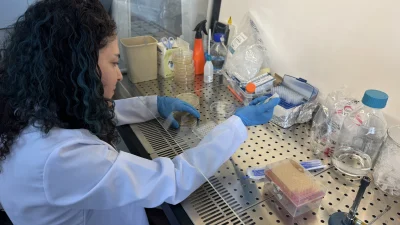 Ağrı İbrahim Çeçen Üniversitesi öncülüğünde yürütülen proje kapsamında geliştirilecek bor