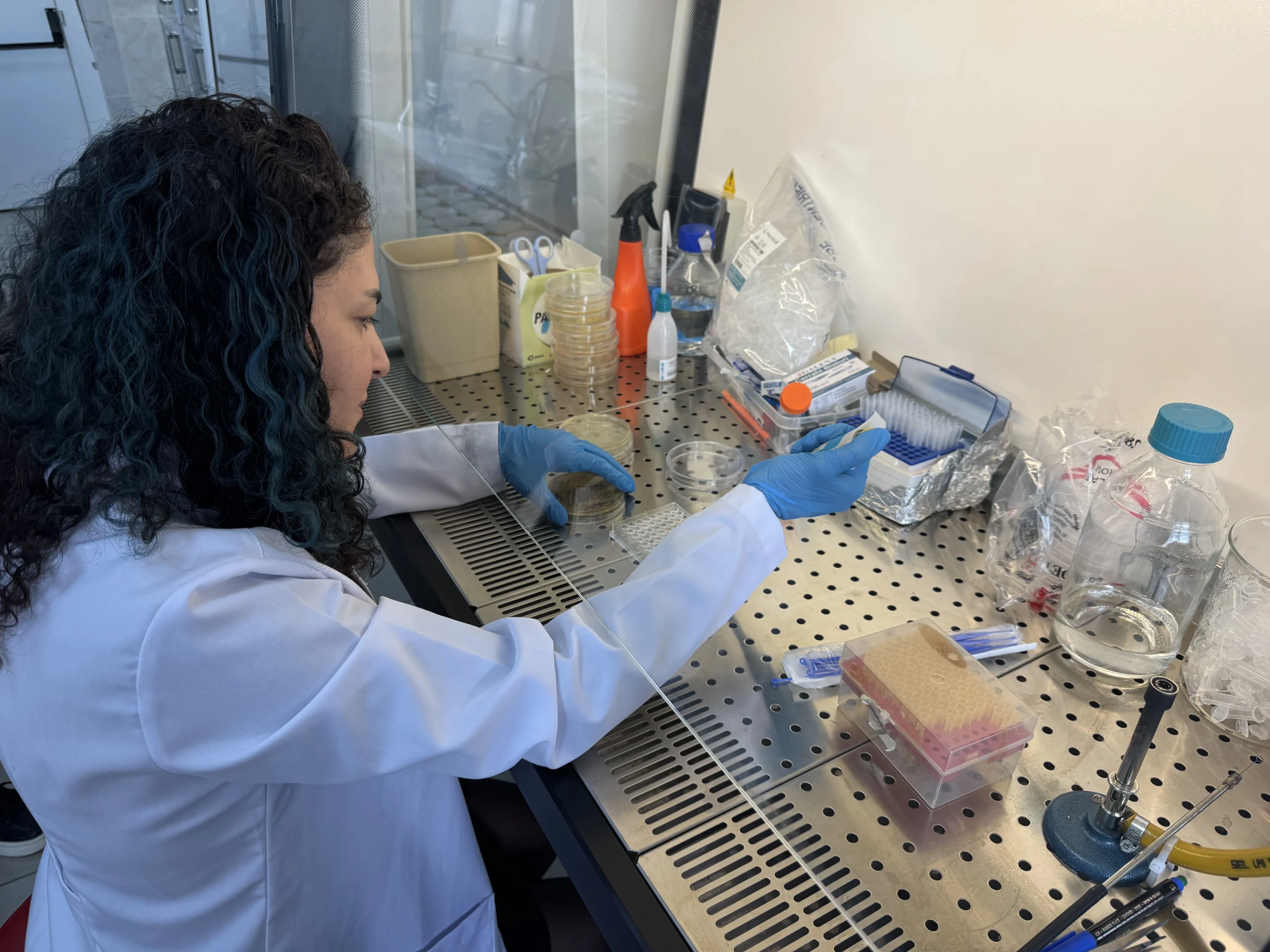 Ağrı İbrahim Çeçen Üniversitesi öncülüğünde yürütülen proje kapsamında geliştirilecek bor