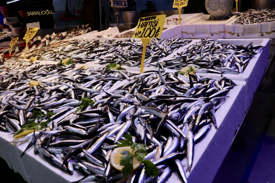 Trabzon’da balık sezonu hareketli başladı. Hamsininkilosu 100 liradan satışa sunulurken,