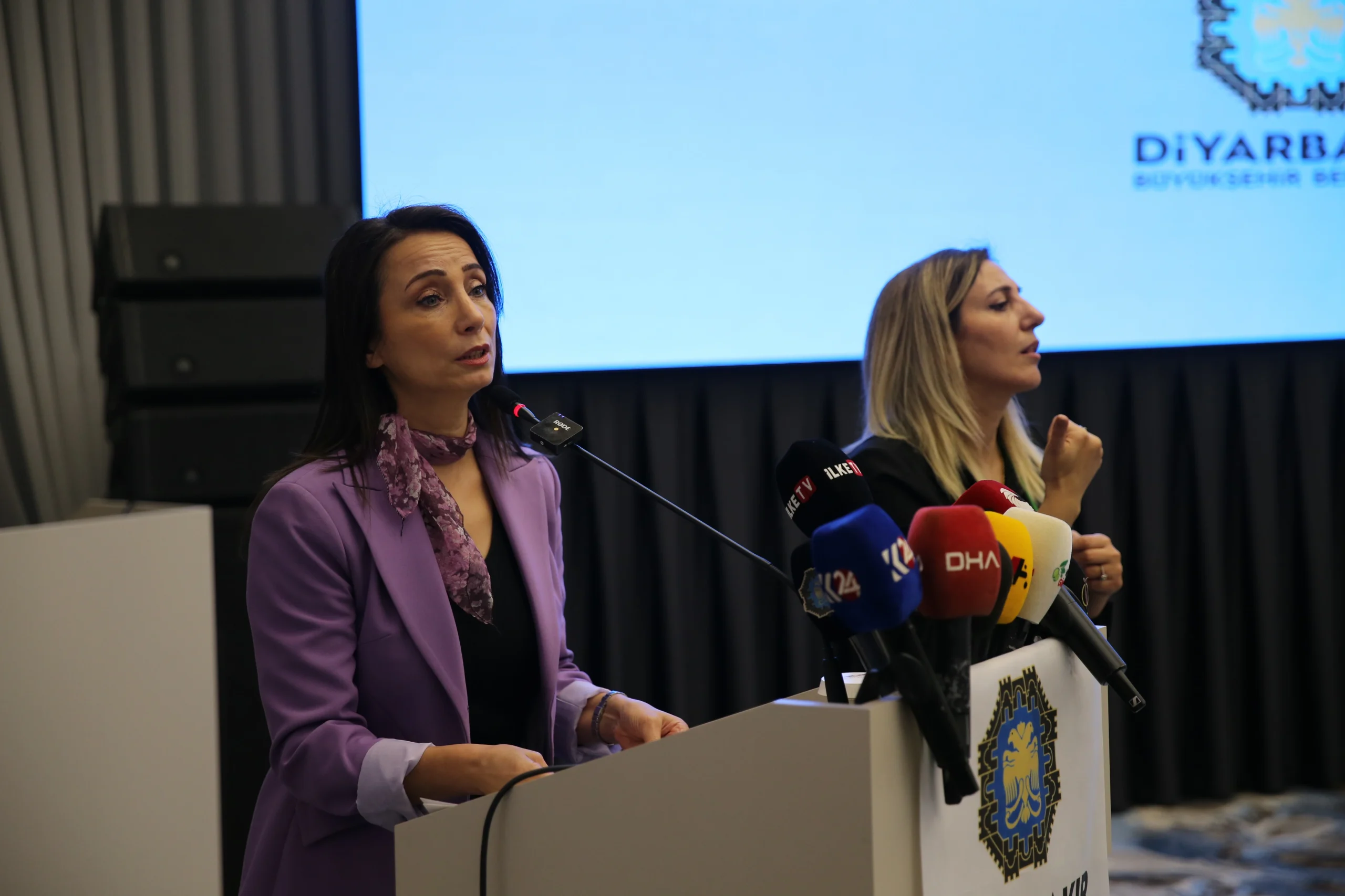 DEM Parti Eş Genel Başkanı Tülay Hatimoğulları, İmralı ziyaret kararına