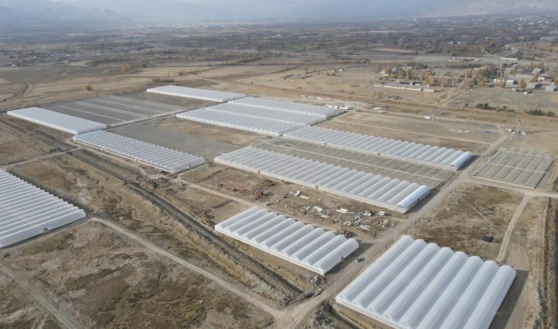 Erzincan'da 350 dekarlık alanda hayata geçirilen dev sera projesiyle, bölgede