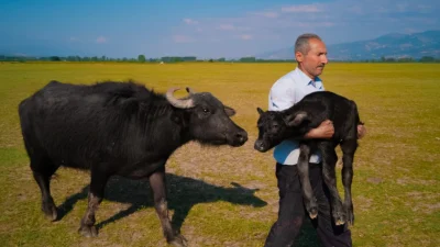 Huawei XMAGE 2025’te Türk Fotoğrafçı Dünya İkincisi Oldu Huawei XMAGE 2025'te Mehmet Emin Coruş, Tokat'ta çektiği kareyle dünya