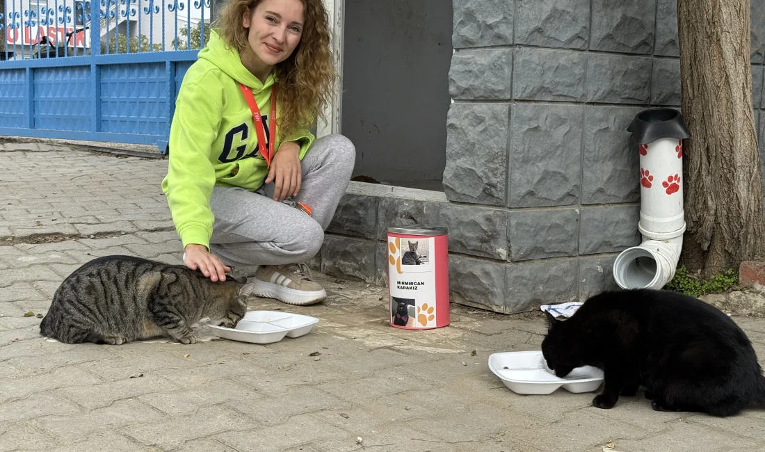 Tekirdağ'da beden eğitimi öğretmeni Pelin Gül, 11 yıldır sahipsiz kedileri