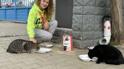 Tekirdağ'da beden eğitimi öğretmeni Pelin Gül, 11 yıldır sahipsiz kedileri