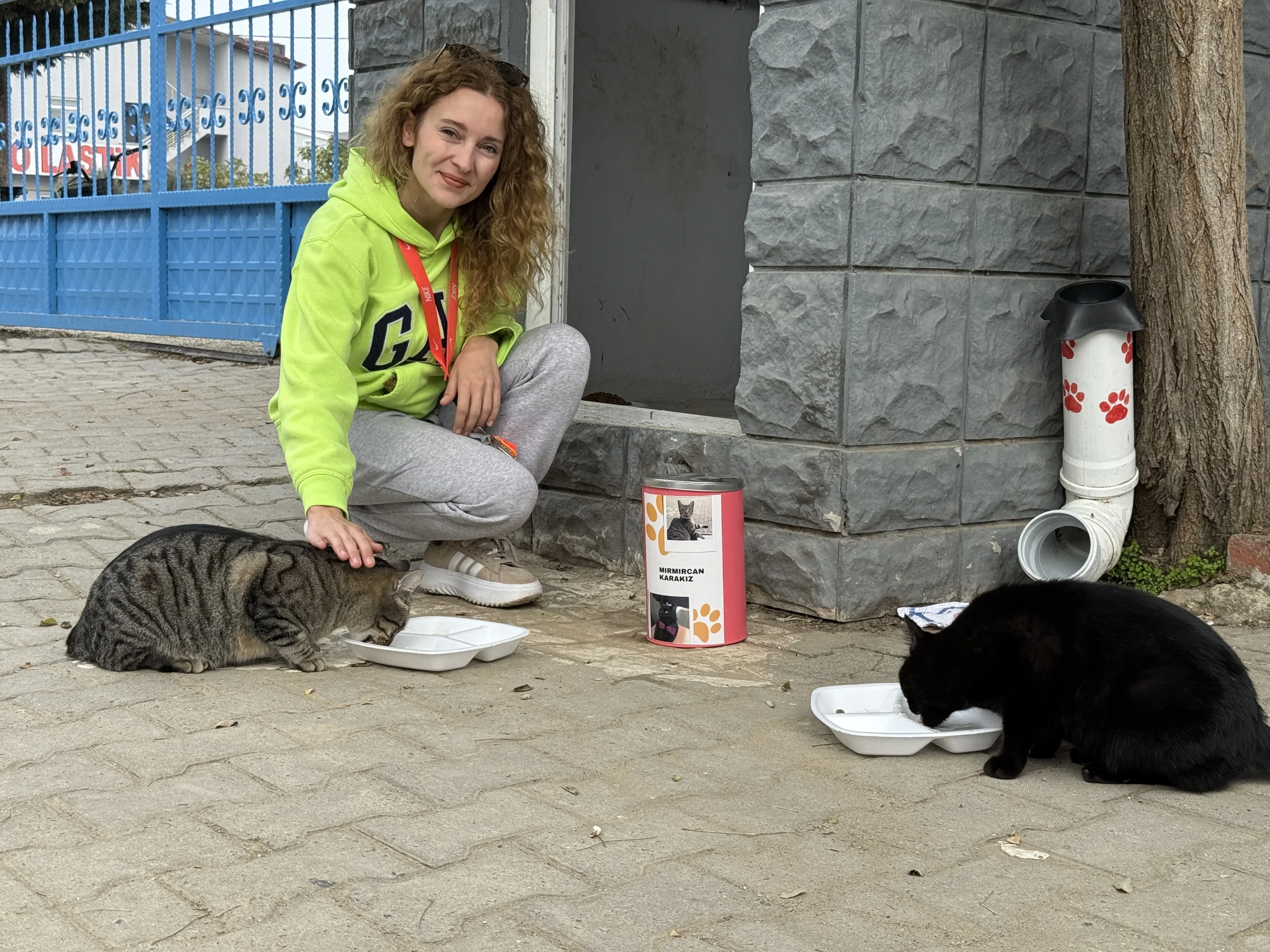 Tekirdağ'da beden eğitimi öğretmeni Pelin Gül, 11 yıldır sahipsiz kedileri