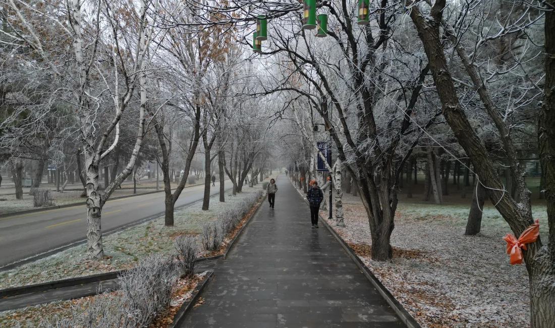 Doğu Anadolu’da etkisini artıran yoğun sis ve soğuk hava, ulaşımı