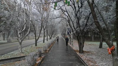 Doğu Anadolu’da etkisini artıran yoğun sis ve soğuk hava, ulaşımı