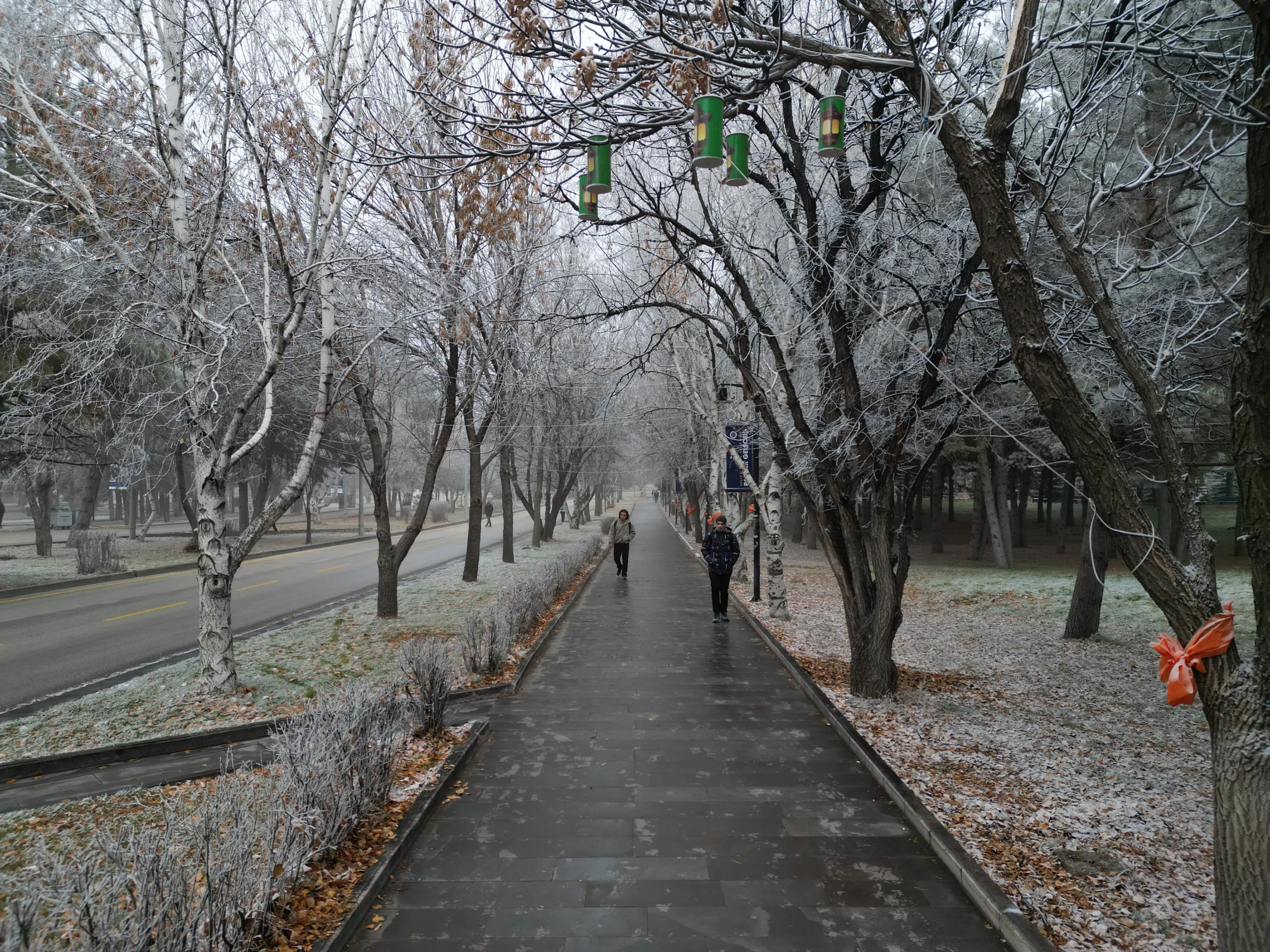 Doğu Anadolu’da etkisini artıran yoğun sis ve soğuk hava, ulaşımı