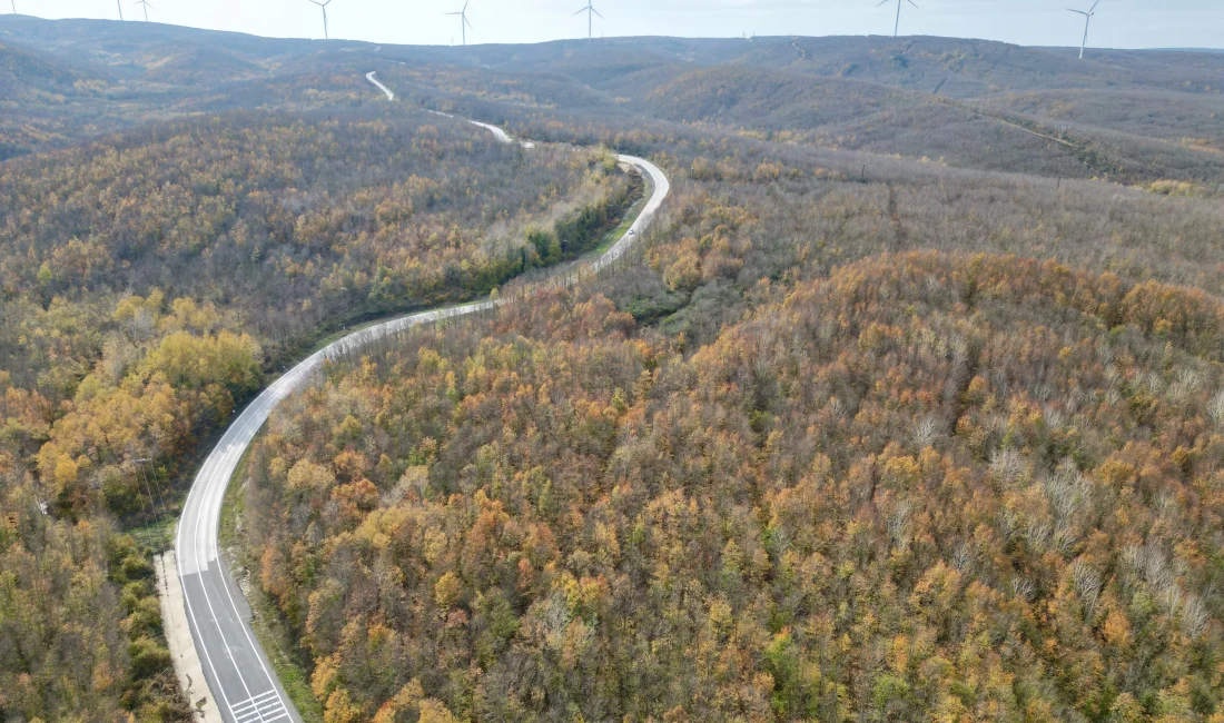 Saray'da sonbahar, ormanları sarı ve turuncunun büyüleyici tonlarına boyadı; doğayla