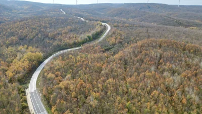 Saray'da sonbahar, ormanları sarı ve turuncunun büyüleyici tonlarına boyadı; doğayla