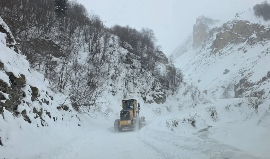 Artvin’in Ardanuç ilçesinde meydana gelen çığda çobanların mahsur kalmış olabileceği
