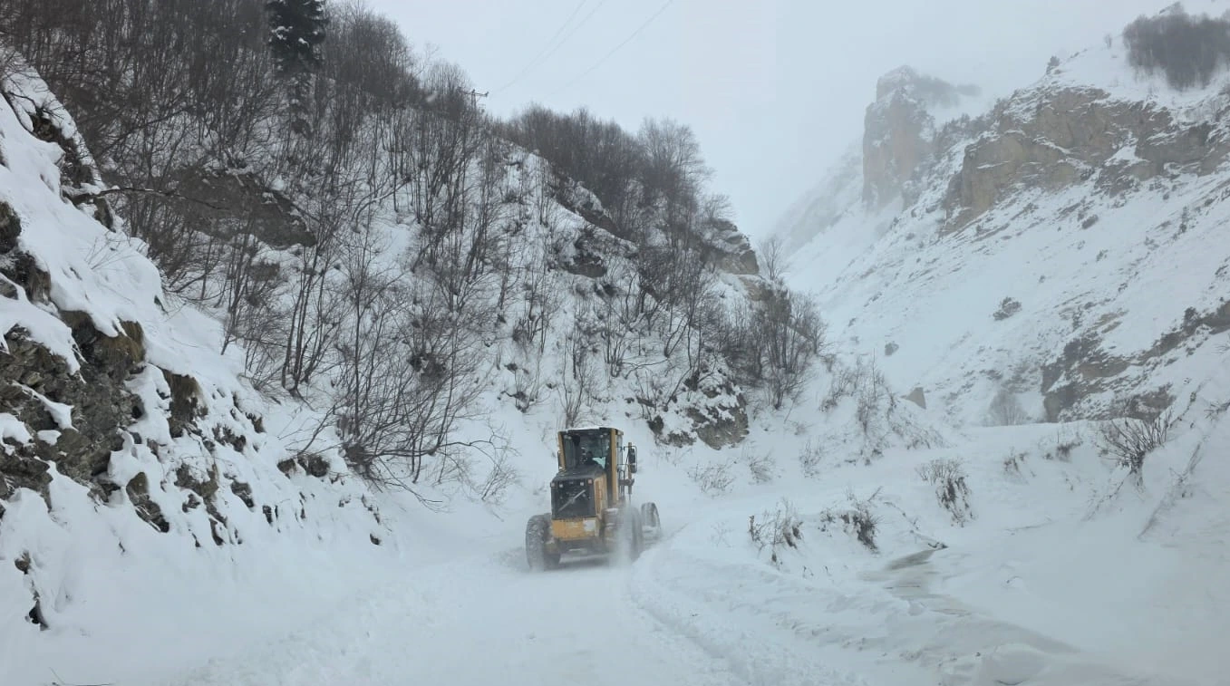 Artvin’in Ardanuç ilçesinde meydana gelen çığda çobanların mahsur kalmış olabileceği