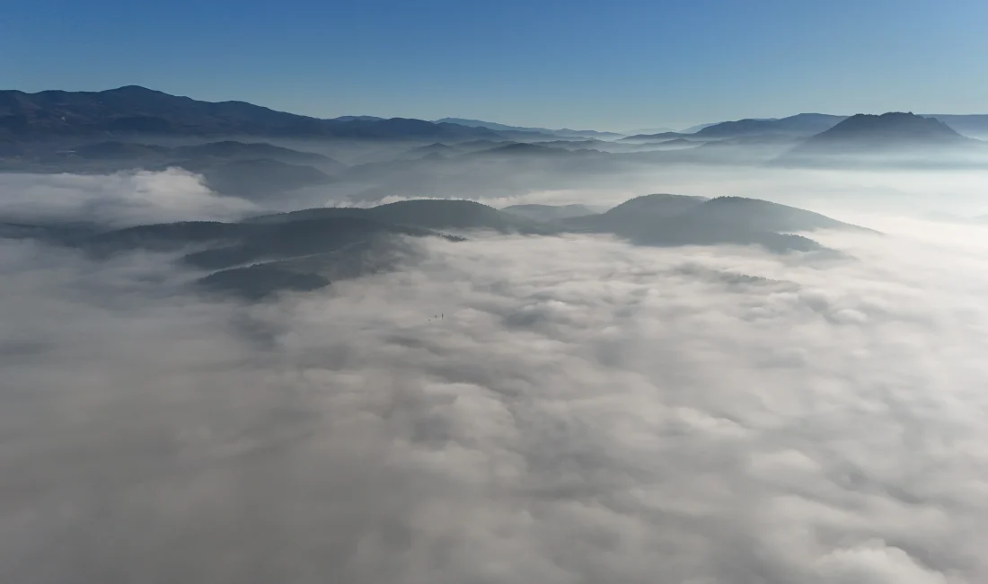 Balıkesir’in Sındırgı ilçesinde gece saatlerinde etkili olan sis ve don,
