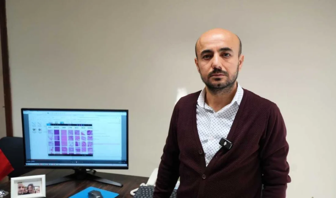 Karabük Üniversitesi’nde geliştirilen yapay zeka tabanlı karar destek sistemi, kolon