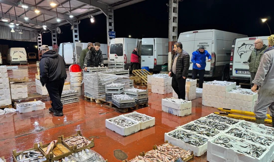 Kocaeli'deki balık mezatlarında bu sezonun en çok talep gören türü
