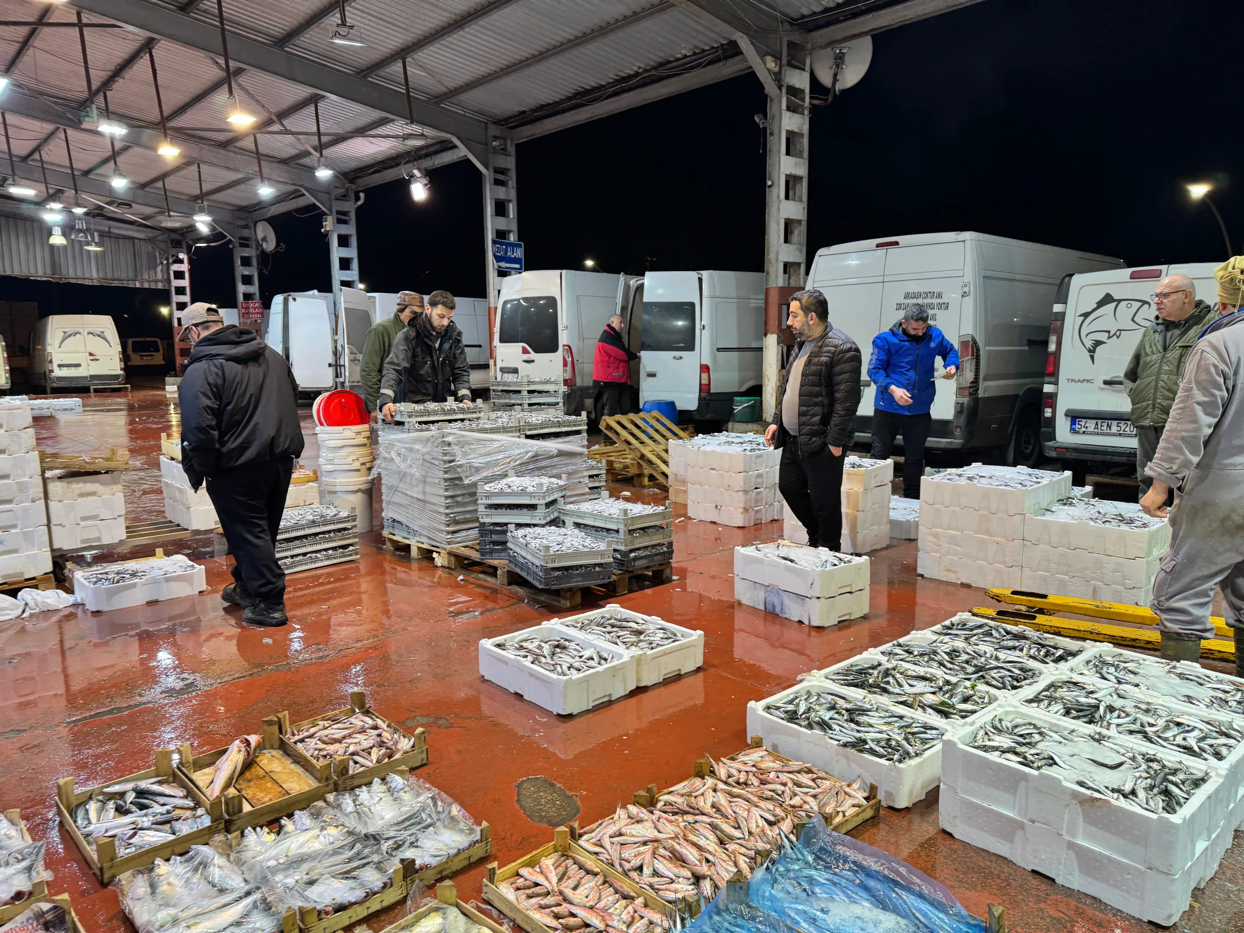 Kocaeli'deki balık mezatlarında bu sezonun en çok talep gören türü