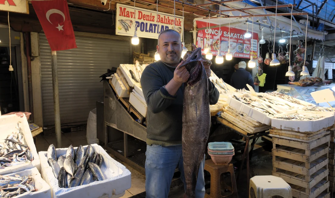 Mersin Açıklarında 25 Kiloluk Siyah Dümen Balığı Yakalandı Mersin’de balıkçıların ağına 25 kiloluk siyah dümen balığı takıldı. Uzmanlara