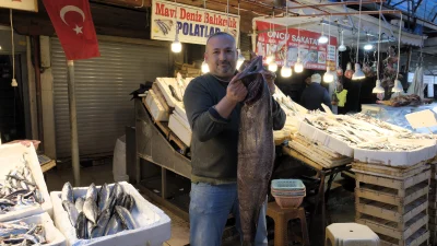 Mersin’de balıkçıların ağına 25 kiloluk siyah dümen balığı takıldı. Uzmanlara
