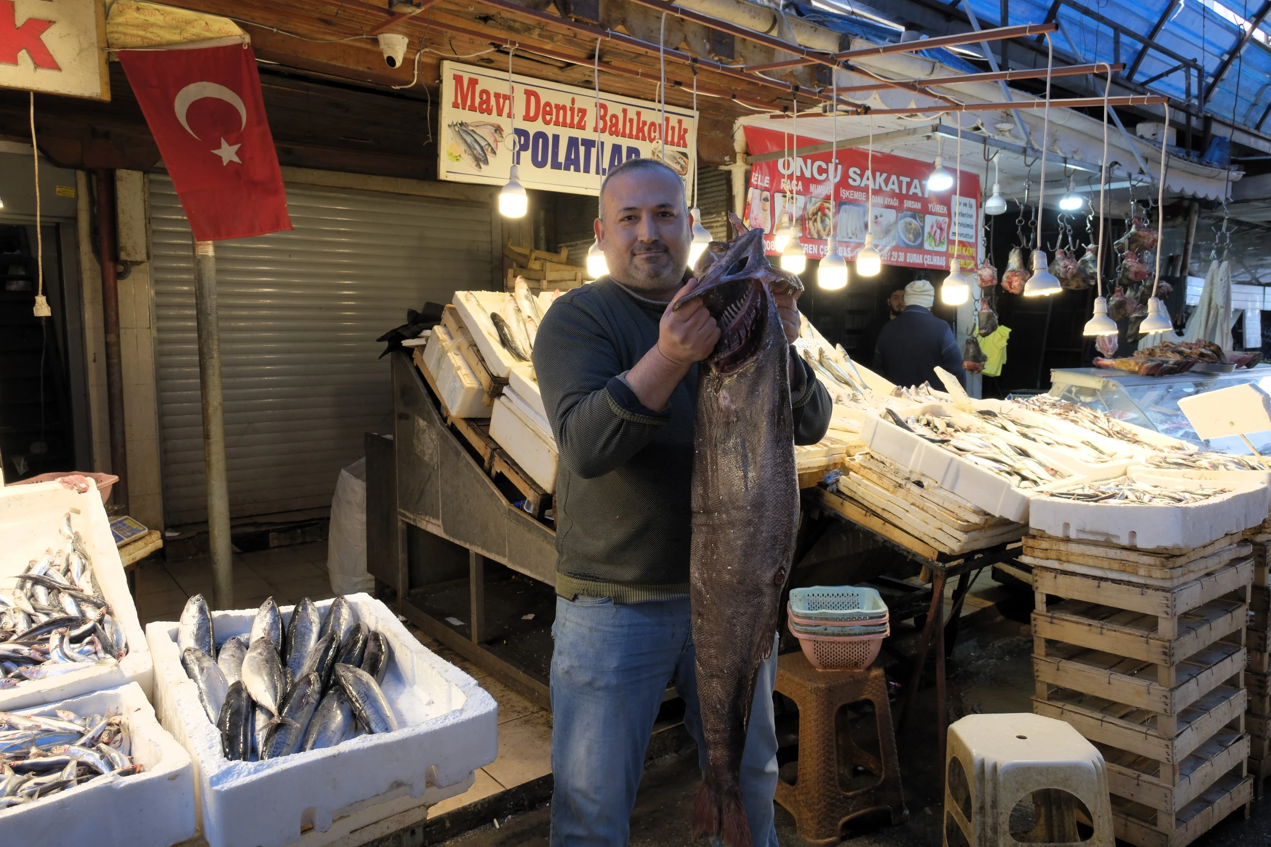 Mersin’de balıkçıların ağına 25 kiloluk siyah dümen balığı takıldı. Uzmanlara