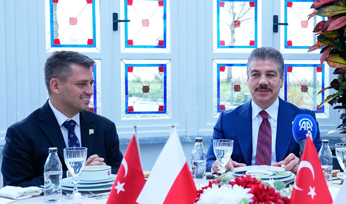 Polonya'dan gelen meclis heyeti, adalet sistemi reformları çerçevesinde Türkiye'deki uygulamaları